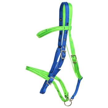 ****PHOTO SAMPLE*** $20 Nylon Blue and Green Mix Picnic Bridle Headstall - Horse Size