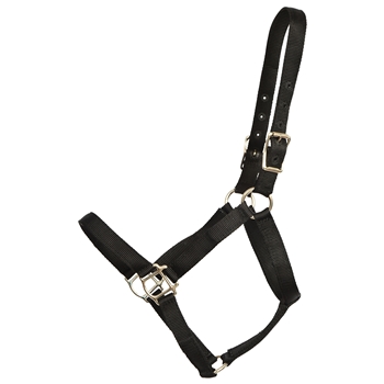 ****PHOTO SAMPLE*** $10 Black Nylon Halter - Horse Size