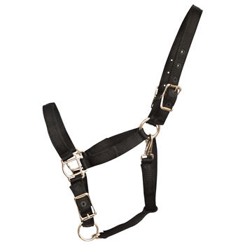 ****PHOTO SAMPLE*** $10 Black Nylon Turnout Halter with Throatlatch Snap and Adjustable Chin - Horse Size