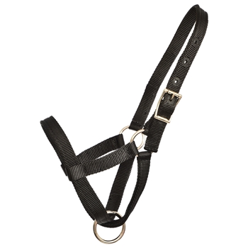 ****PHOTO SAMPLE*** $10 Black Nylon Figure 8 Foal Halter