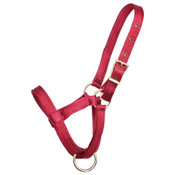 ****PHOTO SAMPLE*** $10 Burgundy Nylon Figure 8 Foal Halter
