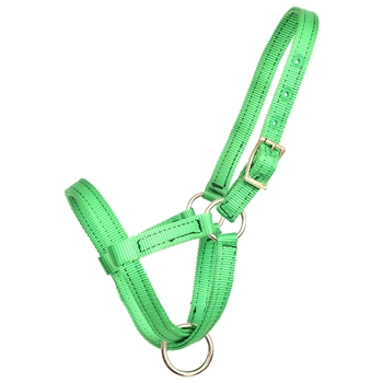 ****PHOTO SAMPLE*** $10 Green Nylon Figure 8 Foal Halter