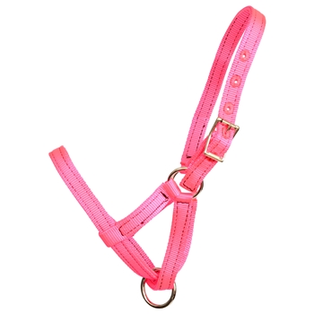 ****PHOTO SAMPLE*** $10 Hot Pink Nylon Figure 8 Foal Halter