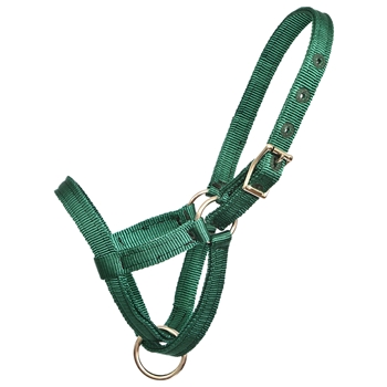****PHOTO SAMPLE*** $10 Hunter Green Nylon Figure 8 Foal Halter