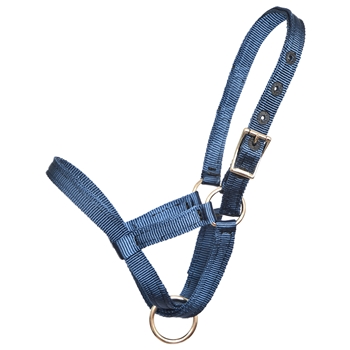 ****PHOTO SAMPLE*** $10 Navy Blue Nylon Figure 8 Foal Halter