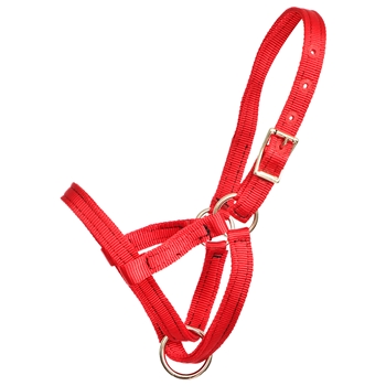 ****PHOTO SAMPLE*** $5 Red Nylon Figure 8 Foal Halter