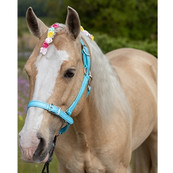 Buckle Nose Halter & Lead Beta Biothane Solid Colored