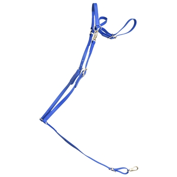 ****PHOTO SAMPLE*** $20 Royal Blue Beta Biothane English Breast Collar with Purple Thread - Horse Size