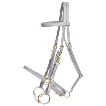 ****PHOTO SAMPLE*** $30 Gray Beta Biothane Halter Bridle with Bit Hangers Headstall with Purple Thread - Horse Size