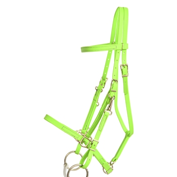 ****PHOTO SAMPLE*** $30 Apple Green Beta Biothane Halter Bridle with Bit Hangers Headstall with Purple Thread - Horse Size