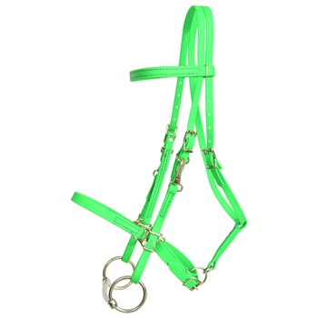 ****PHOTO SAMPLE*** $30 Lime Green Beta Biothane Halter Bridle with Bit Hangers Headstall with Purple Thread - Horse Size