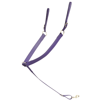 ****PHOTO SAMPLE*** $25 Purple Beta Biothane Western Breast Collar with Purple Thread - Horse Size