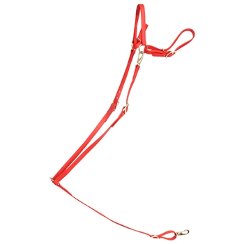 ****PHOTO SAMPLE*** $25 Red Beta Biothane English Breast Collar - Horse Size