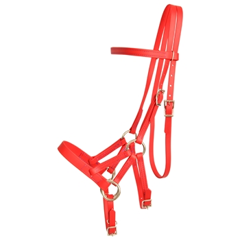 ****PHOTO SAMPLE*** $30 Red Beta Biothane Sidepull Headstall - Horse Size