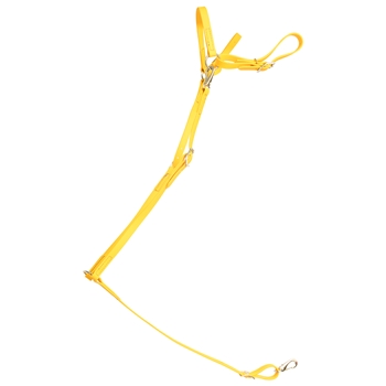 ****PHOTO SAMPLE*** $25 Sunflower Yellow Beta Biothane English Breast Collar - Horse Size