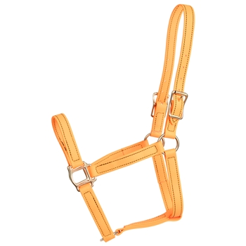 ****PHOTO SAMPLE*** $20 Mango Orange Beta Biothane Halter - Horse Size