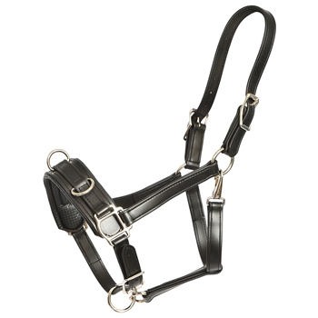 BETTER THAN LEATHER Heavy Duty Lunging Cavesson