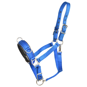 NYLON Heavy Duty Lunging Cavesson 