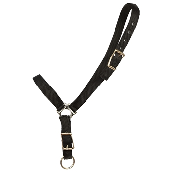 ****PHOTO SAMPLE*** $10 Black Nylon Grooming Halter - Horse Size