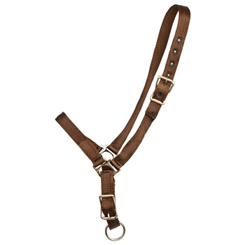 ****PHOTO SAMPLE*** $10 Brown Nylon Grooming Halter - Horse Size