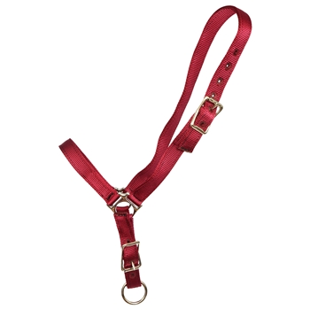 ****PHOTO SAMPLE*** $10 Burgundy Nylon Grooming Halter - Horse Size