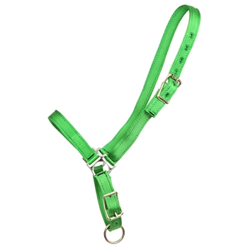 ****PHOTO SAMPLE*** $10 Green Nylon Grooming Halter - Horse Size