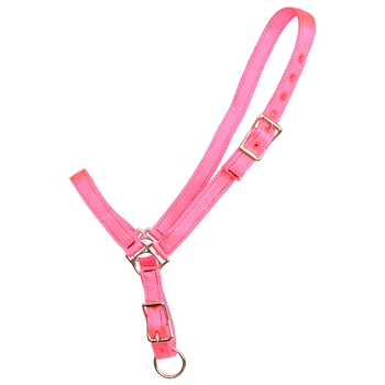****PHOTO SAMPLE*** $10 Hot Pink Nylon Grooming Halter - Horse Size
