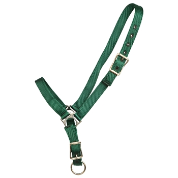 ****PHOTO SAMPLE*** $10 Hunter Green Nylon Grooming Halter - Horse Size