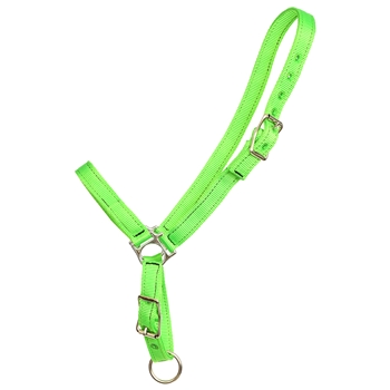 ****PHOTO SAMPLE*** $10 Lime Green Nylon Grooming Halter - Horse Size