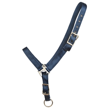 ****PHOTO SAMPLE*** $10 Navy Blue Nylon Grooming Halter - Horse Size