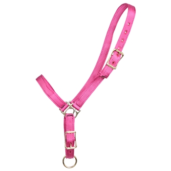 ****PHOTO SAMPLE*** $10 Raspberry Pink Nylon Grooming Halter - Horse Size