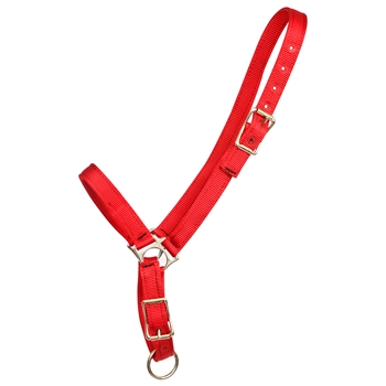 ****PHOTO SAMPLE*** $10 Red Nylon Grooming Halter - Horse Size