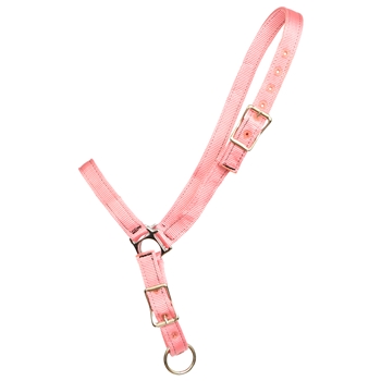 ****PHOTO SAMPLE*** $10 Soft Pink Nylon Grooming Halter - Horse Size