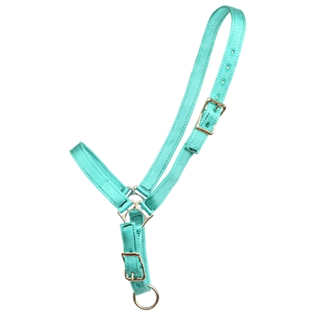 ****PHOTO SAMPLE*** $10 Turquoise Nylon Grooming Halter - Horse Size