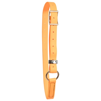****PHOTO SAMPLE*** $10 Mango Orange Beta Biothane Adjustable Neck Collar - Horse Size