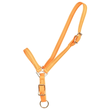 ****PHOTO SAMPLE*** $15 Mango Orange Beta Biothane Grooming Halter - Horse Size