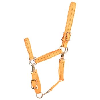 ****PHOTO SAMPLE*** $25 Mango Orange Beta Biothane 5 Snap Convertible Grooming Halter - Horse Size