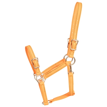 ****PHOTO SAMPLE*** $25 Mango Orange Beta Biothane Buckle Nose Halter - Horse Size