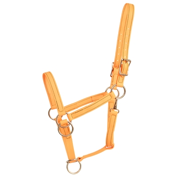 ****PHOTO SAMPLE*** $25 Mango Orange Beta Biothane Pack Horse Halter - Horse Size