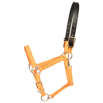 ****PHOTO SAMPLE*** $25 Mango Orange Beta Biothane Safety Halter with Leather Breakaway Crown - Horse Size