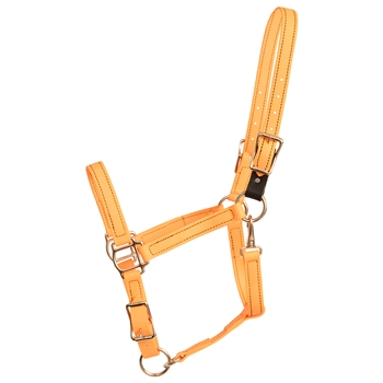 ****PHOTO SAMPLE*** $25 Mango Orange Beta Biothane Safety Halter with Leather Breakaway Tab - Horse Size