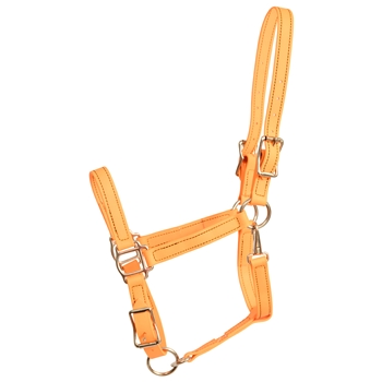 ****PHOTO SAMPLE*** $25 Mango Orange Beta Biothane Halter with Throatlatch Snap and Adjustable Chin - Horse Size