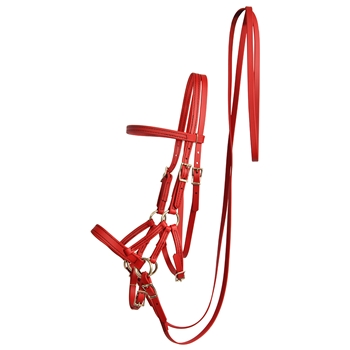 CHILI RED Beta Biothane Bridle - You Choose The Size/Style