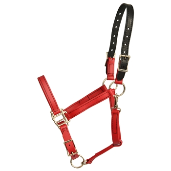 CHILI RED Beta Biothane Halter - Any Size, Any Style
