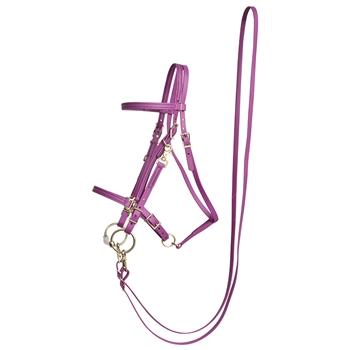 GRAPE PURPLE Beta Biothane Bridle - You Choose The Size/Style 