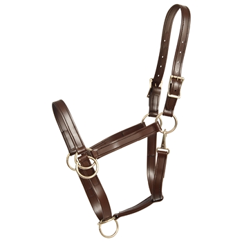 ****PHOTO SAMPLE*** $25 Brown Better Than Leather Pack Horse Halter - Horse Size