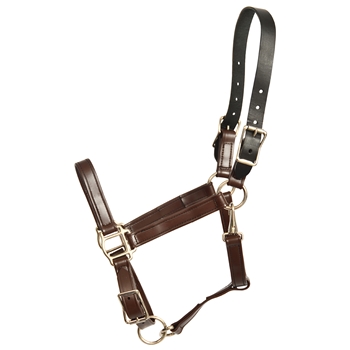 ****PHOTO SAMPLE*** $25 Brown Better Than Leather Safety Halter with Leather Breakaway Crown - Horse Size