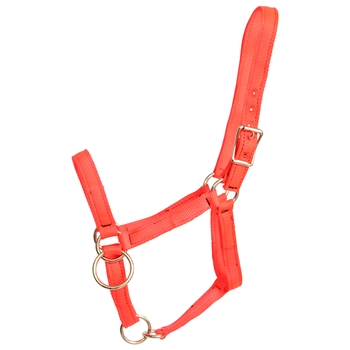 ****PHOTO SAMPLE*** $15 Orange Nylon Pack Horse Halter - Horse Size