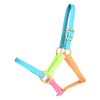 RAINBOW Beta Biothane Halter (5 Colors Mix N Match)