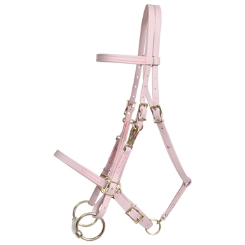 ****PHOTO SAMPLE*** $30 Lavender Beta Biothane Halter Bridle with Bit Hangers Headstall with Pink Thread - Horse Size